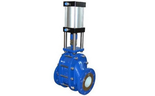 Power plant valve